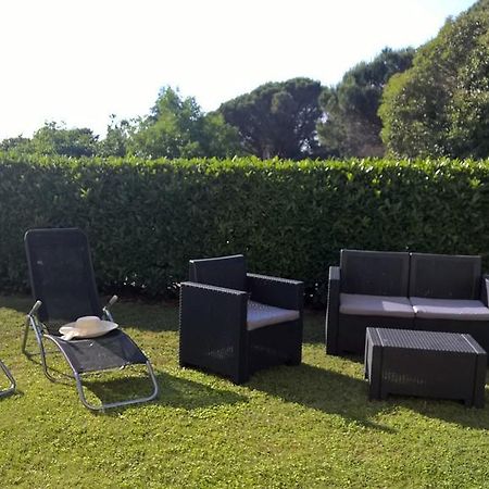 Apartmani Martincic Novigrad Istria Eksteriør billede