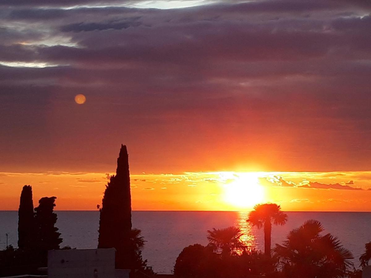 Apartmani Martincic Novigrad Istria Eksteriør billede