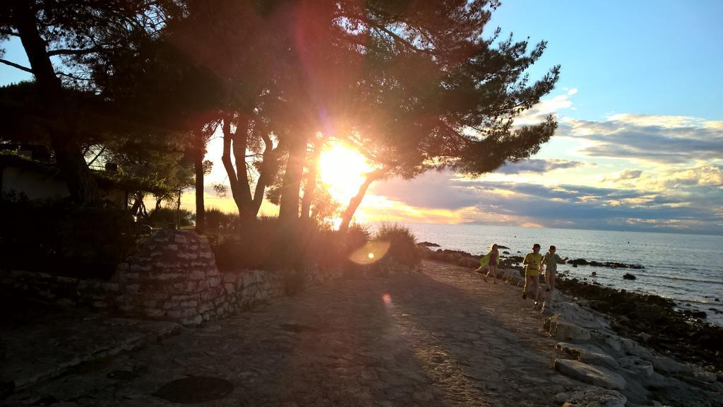 Apartmani Martincic Novigrad Istria Eksteriør billede