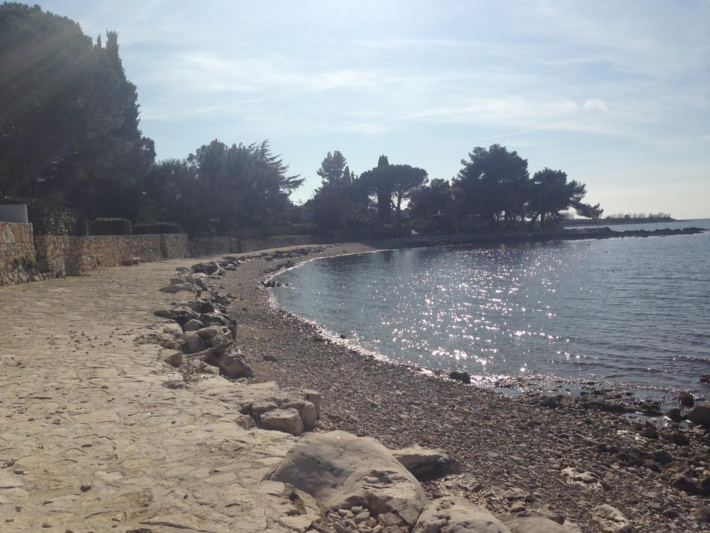 Apartmani Martincic Novigrad Istria Eksteriør billede