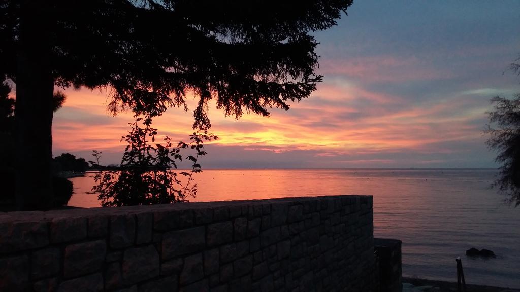 Apartmani Martincic Novigrad Istria Eksteriør billede